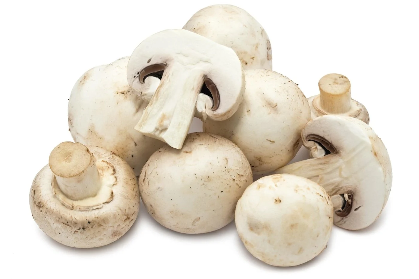 Button Mushroom