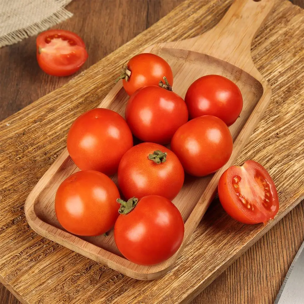 Organically Grown Tomato (Tamatar)