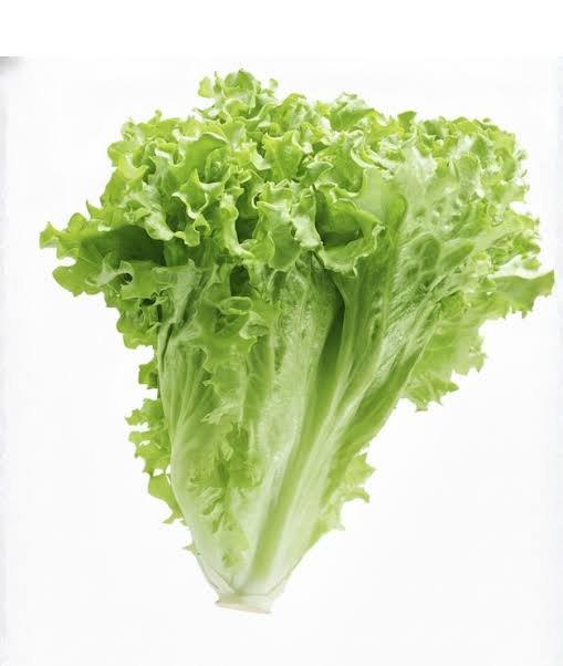 Green Lettuce