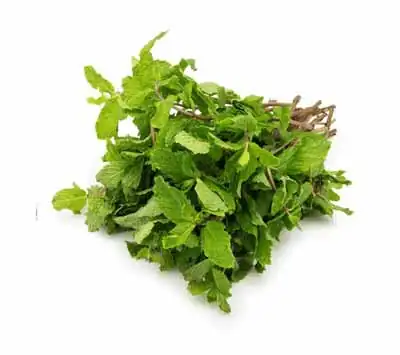 Mint Leaves (Pudina)
