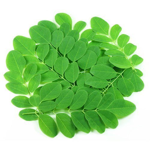 Drumstick Leaves (Sahjan/Shami Patra)