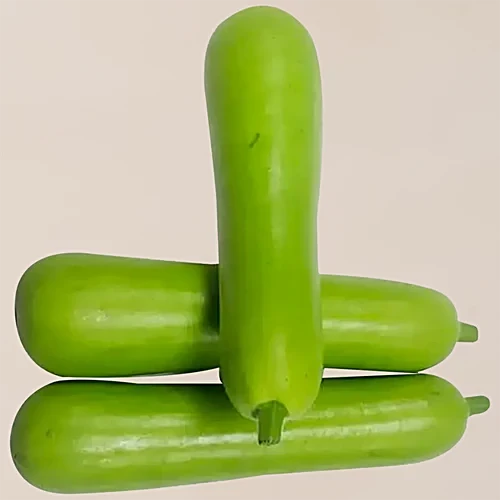 Baby Bottle Gourd (Lauki)