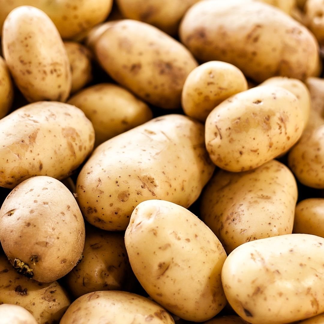 Potato (Aloo)