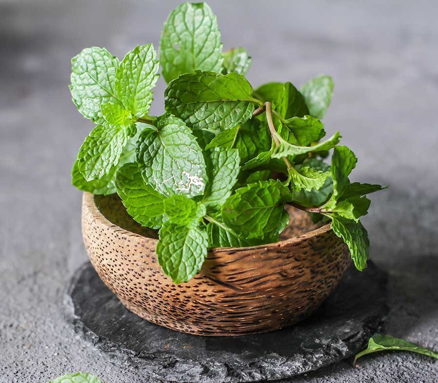 Mint Leaves (Pudina)