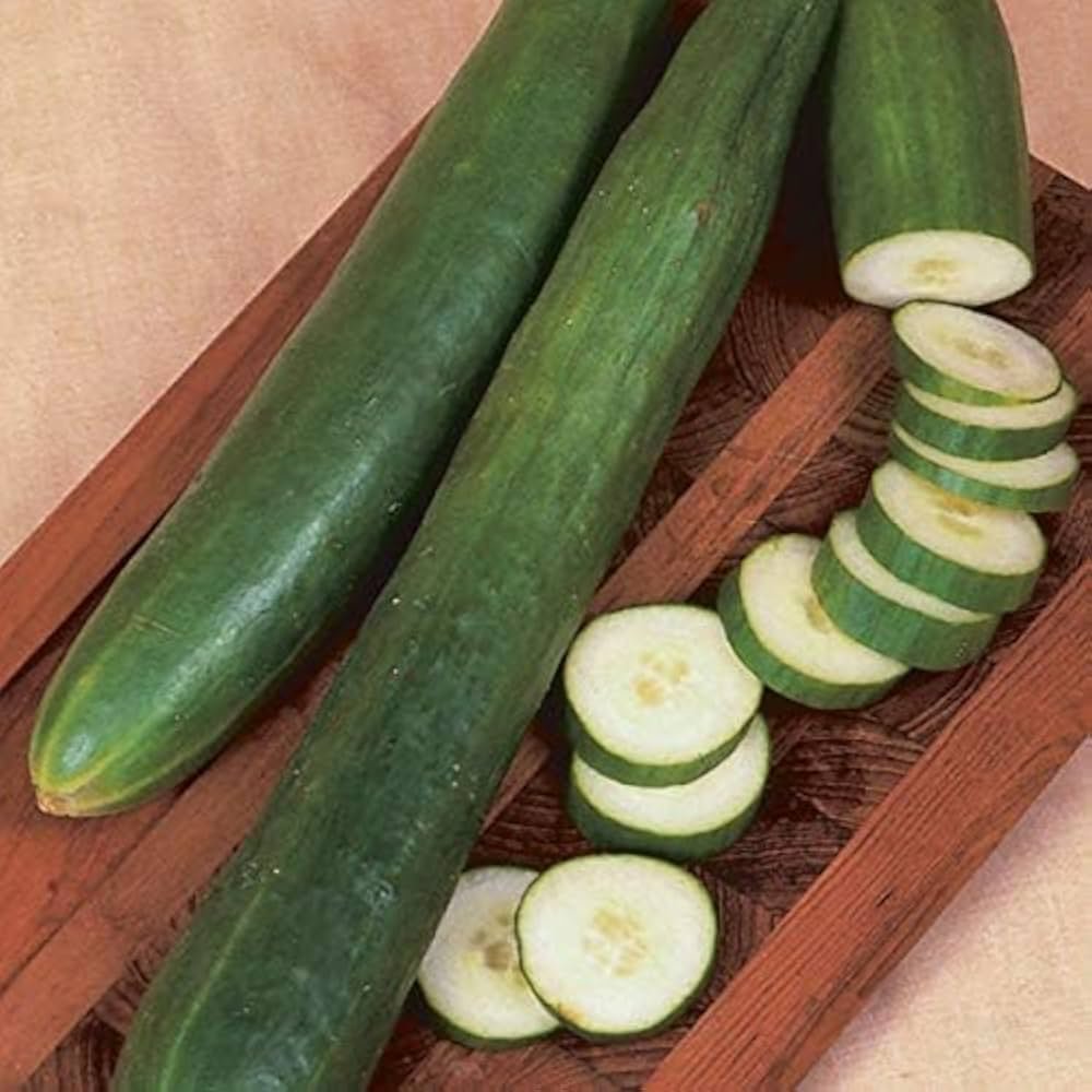Green Cucumber (Kheera)