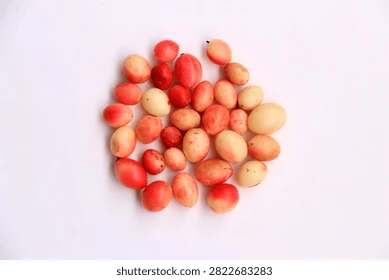 Karonda (Carandas Plum)
